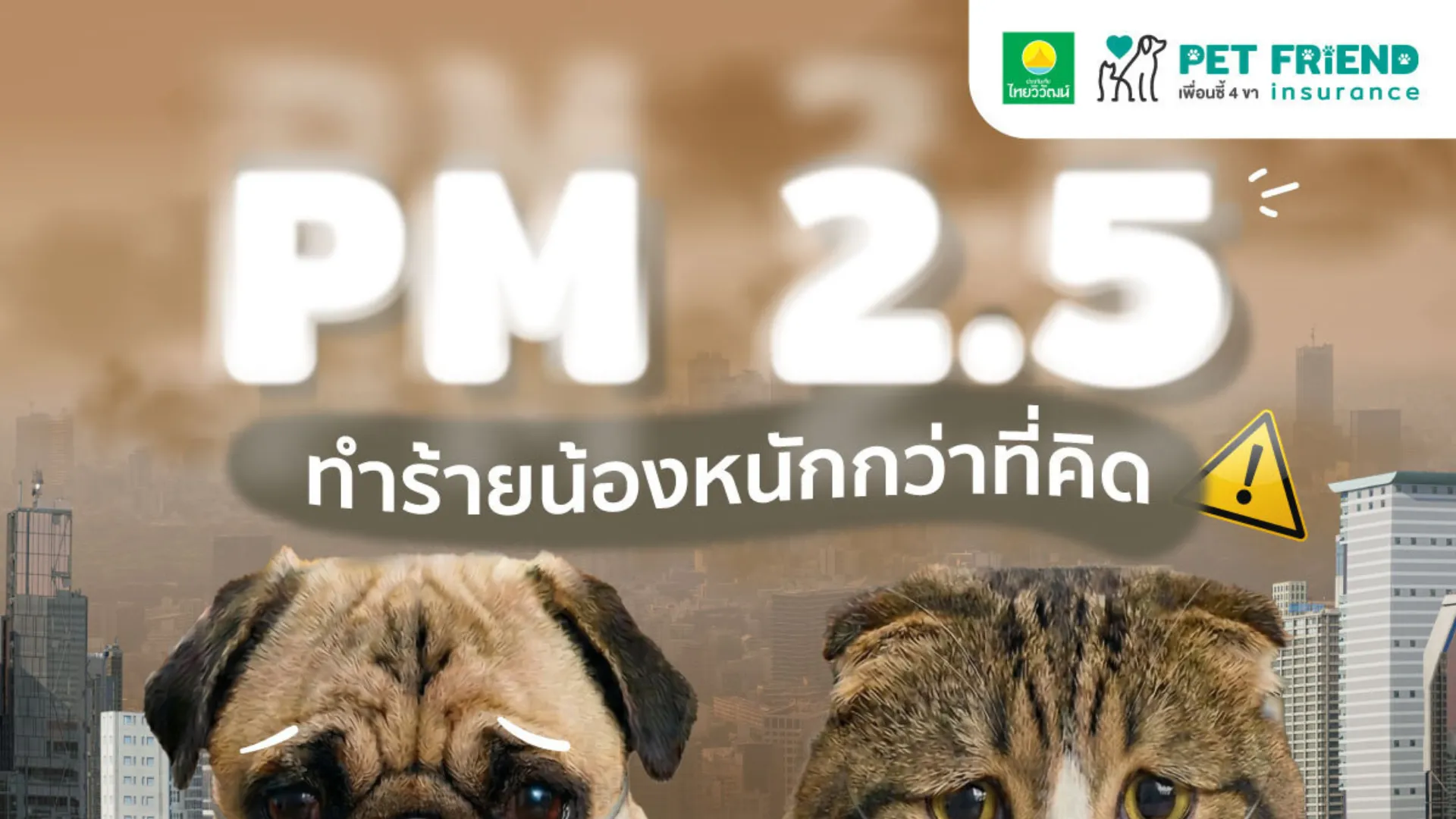 PM2.5 กระทบสุนัขและแมวอย่างไร? วิธีดูแลสัตว์เลี้ยงในวันที่ฝุ่นสูง