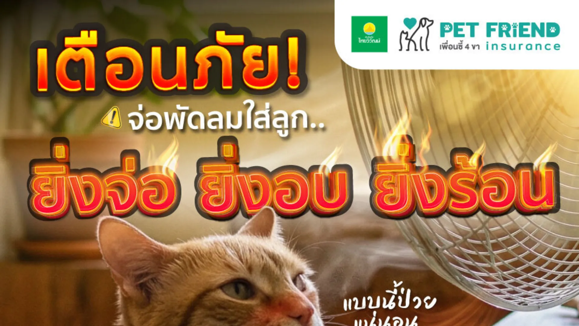 เปิดพัดลมให้สัตว์เลี้ยงช่วยคลายร้อนได้ไหม? ใช้อย่างไรให้ปลอดภัย