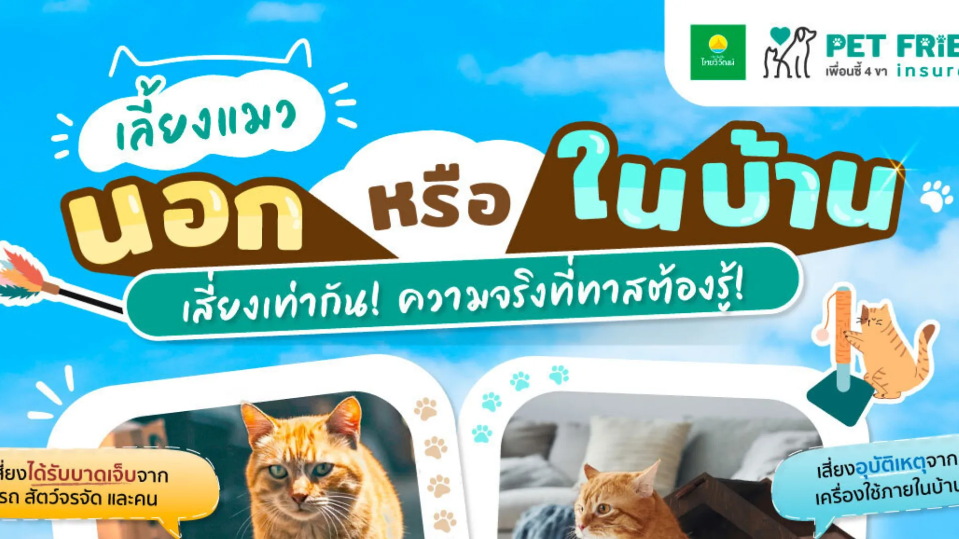 เลี้ยงแมวในบ้านหรือนอกบ้าน แบบไหนปลอดภัยกว่า? เปรียบเทียบความเสี่ยง